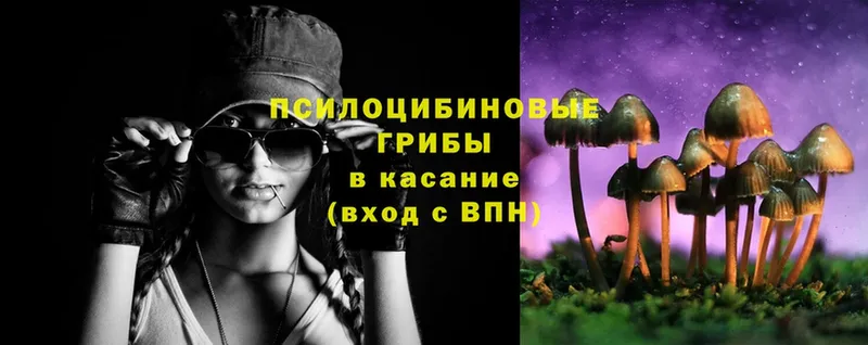 Галлюциногенные грибы MAGIC MUSHROOMS  Гдов 